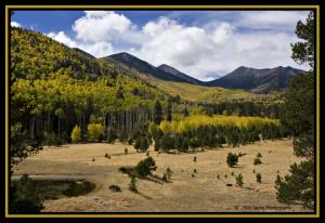 Lockett Meadow Near Peak Color.jpg