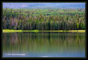 Reservation Lake Reflection 1.jpg