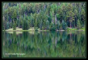 Reservation Lake Reflection 2.jpg