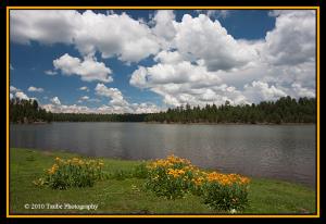 Storm Clouds Building Over Hawley Lake.jpg