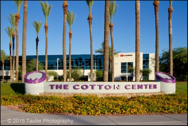 Cotton Center 3326.jpg